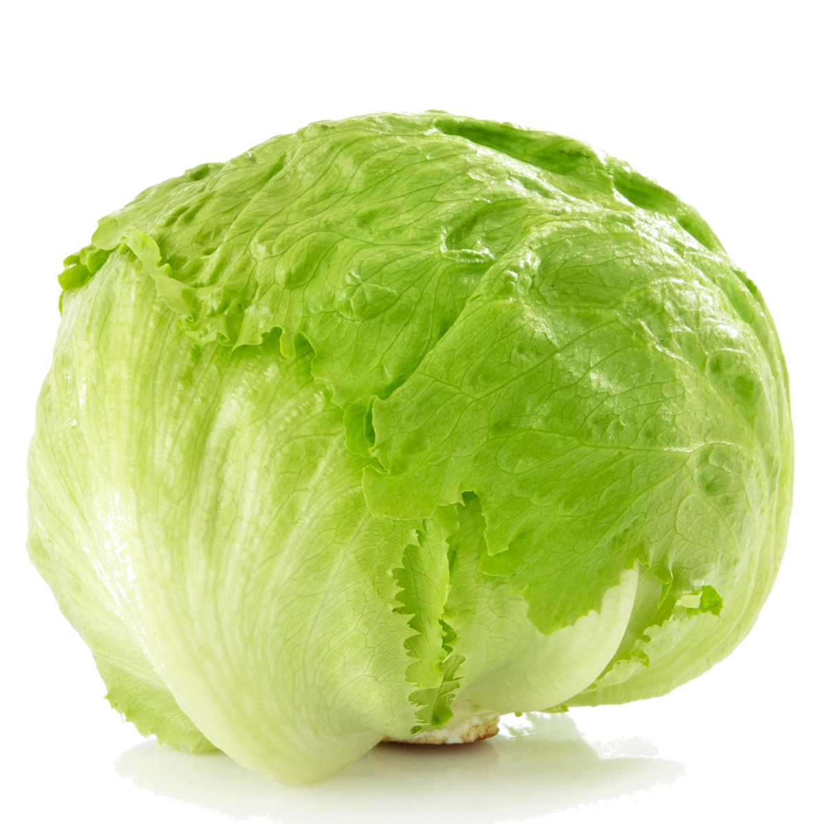 Laitue iceberg / un
