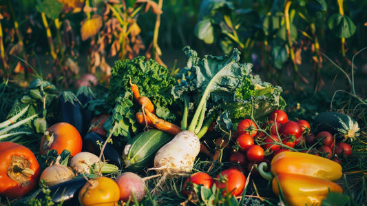 Soutenir l'économie locale tout en nourrissant les enfants : l'impact des fruits et légumes locaux en garderie
