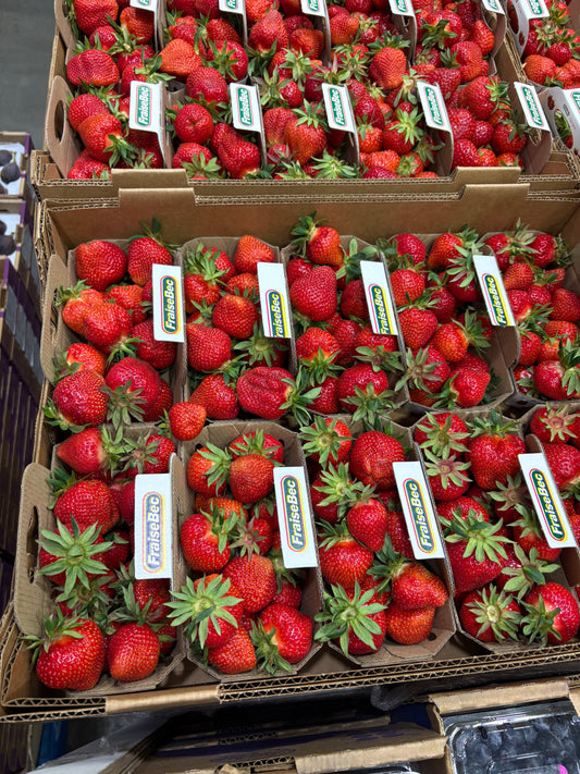 Fraise de champs - Ferme Fraisebec QC / casseau